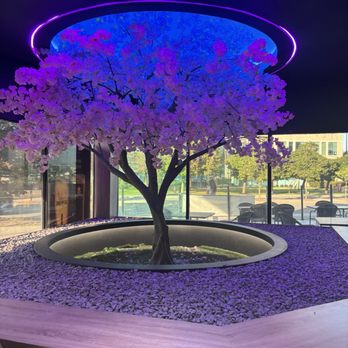 Ryu Izakaya - Pink tree at lobby - Japanese Near Me - Richmond Hill, Ontario Ryu Izakaya - Pink tree at lobby - Japanese Near Me - Richmond Hill, Ontario