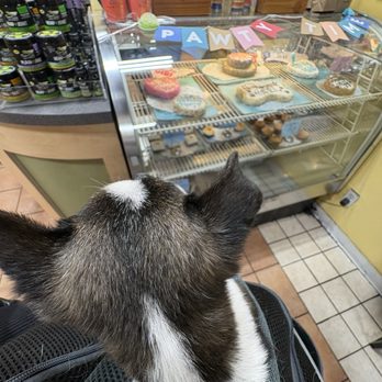 The Dog Bakery - Pet Stores Near Me - Pasadena, California