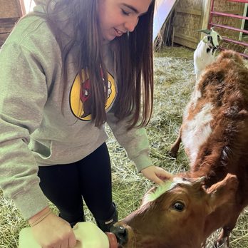 Asam Acres - Attraction Farms Near Me - Tecumseh, Michigan Asam Acres - Attraction Farms Near Me - Tecumseh, Michigan