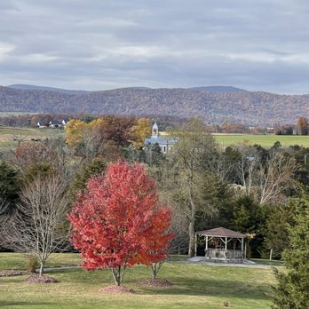 Wolf Gap Vineyard - The amazing view - Wineries Near Me - Edinburg, Virginia Wolf Gap Vineyard - The amazing view - Wineries Near Me - Edinburg, Virginia