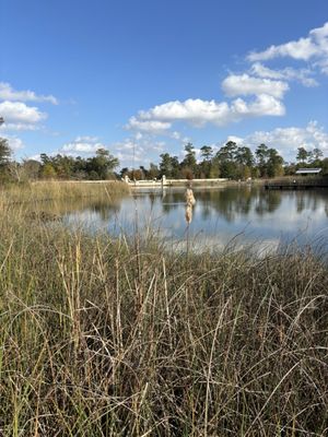 Memorial Park by null