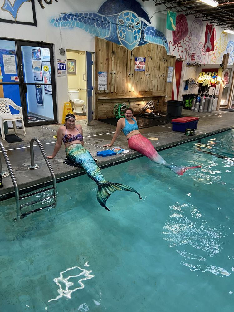 DIVENTURES THE DIVE SHOP Updated July 2024 59 Photos & 28 Reviews 2714 Sandy Plains Rd