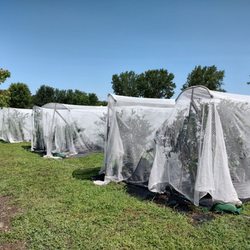 Ferme Marineau