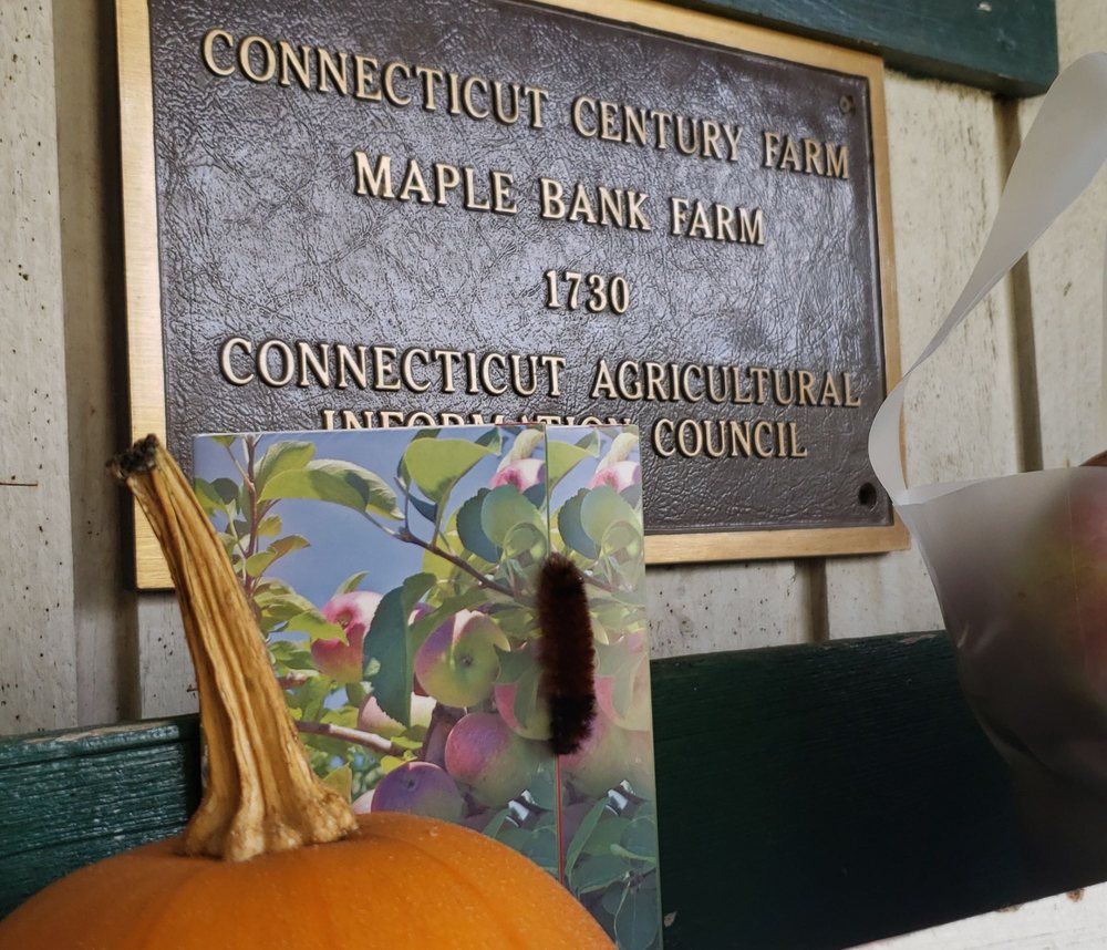 MAPLE BANK FARM Updated September 2024 21 Photos 57 Church St