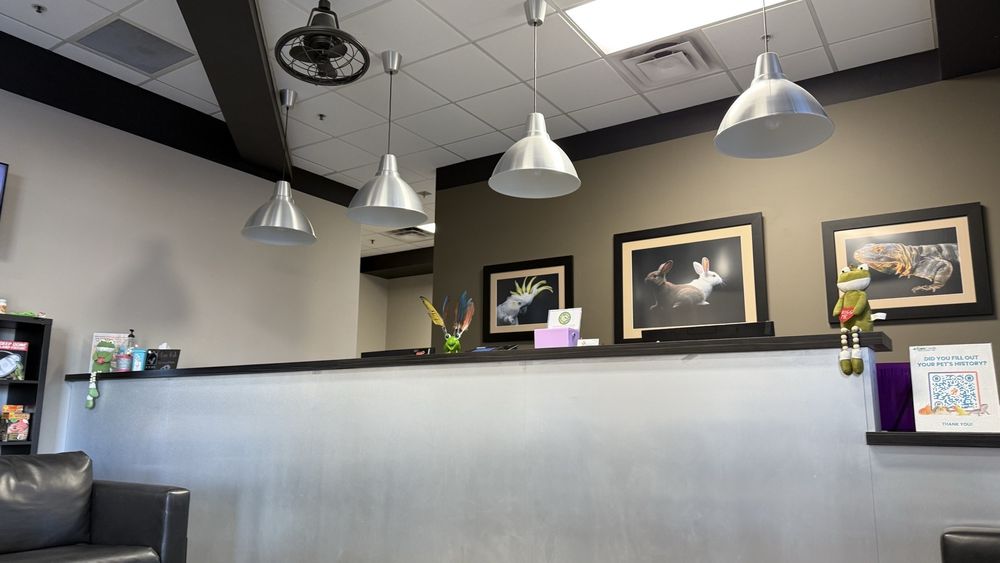 Exotic Pet Vets - pet boarding facility in Tucson, AZ