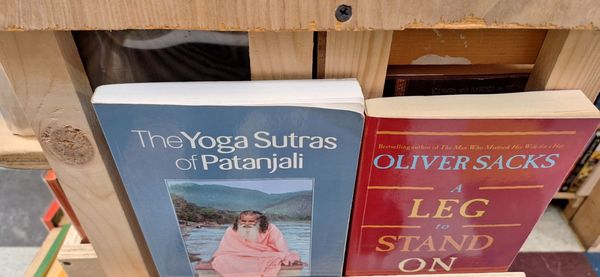 Molly's Books & Records by null