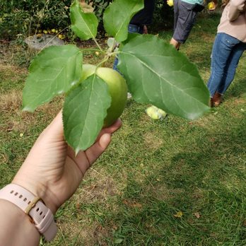 Ochs Orchard - Fruits & Veggies Near Me - Warwick, New York Ochs Orchard - Fruits & Veggies Near Me - Warwick, New York