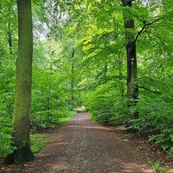 Sechs-Seen-Platte