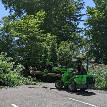 McCabe's Tree Experts - The new Avant 528 allows large pieces of tree to be moved with ease. - Tree Services Near Me McCabe's Tree Experts - The new Avant 528 allows large pieces of tree to be moved with ease. - Tree Services Near Me