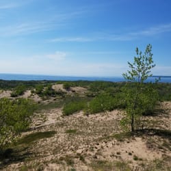 Dune Climb Book Store