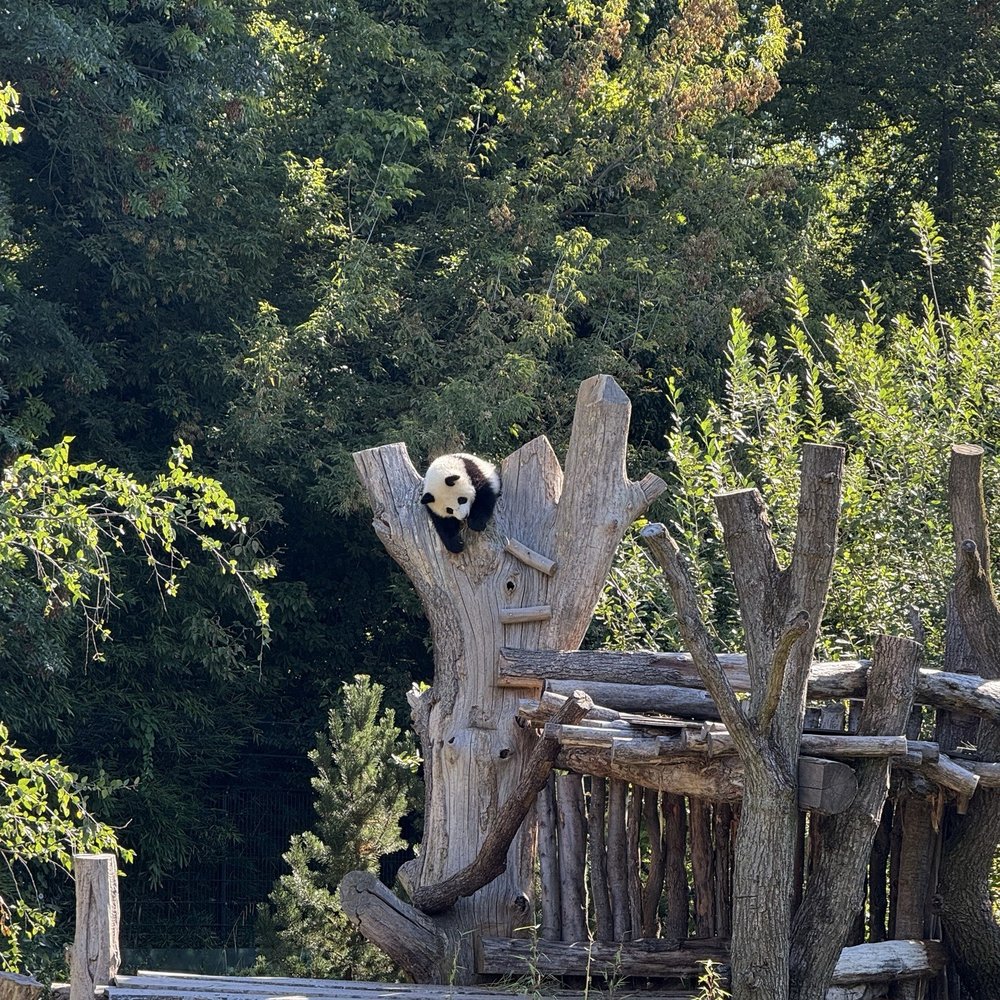 ZOO BERLIN - Zoos Near Me - Berlin, BE ZOO BERLIN - Zoos Near Me - Berlin, BE