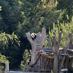 ZOO BERLIN