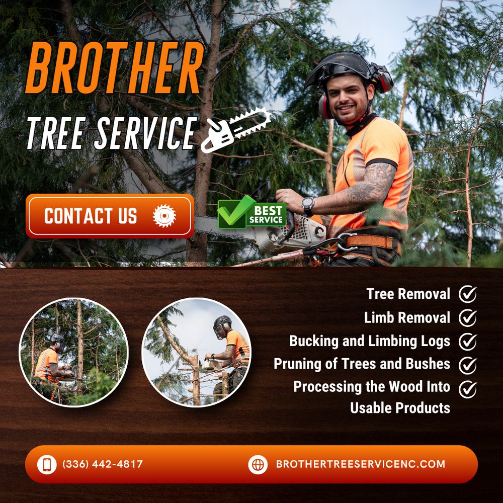 Brother Tree Service - tree service in Archdale, NC