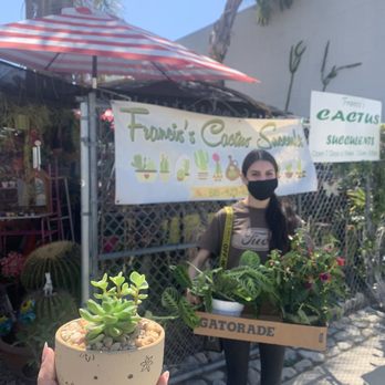 Francis's Cactus Succulents - Nurseries & Gardening Near Me - Los Angeles, California Francis's Cactus Succulents - Nurseries & Gardening Near Me - Los Angeles, California