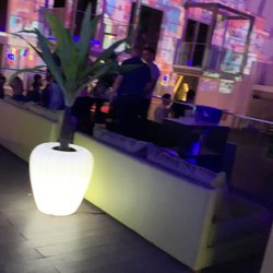 Lust in Rio - View from vip