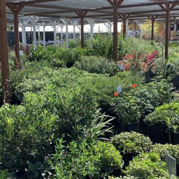 Escape Gardens - Landscaping plants - Nurseries & Gardening Near Me - Somis, California