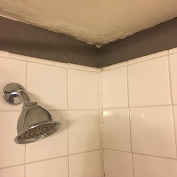 Yosemite International Hostel - Mold - Hostels Near Me - Groveland, California Yosemite International Hostel - Mold - Hostels Near Me - Groveland, California