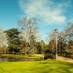 Caulfield Park Tennis Club - Caulfield Park is where you can find us