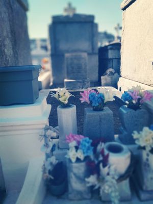 St Vincent De Paul Cemetery by null