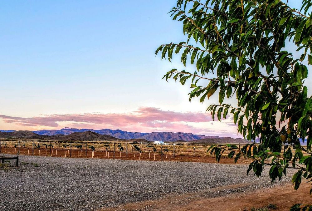 LITTLE OLD WINE DRINKERS WINERY Updated September 2024 14 Photos