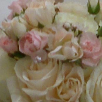 Buzzy Bee Flowers - Florists Near Me - Glendale, California Buzzy Bee Flowers - Florists Near Me - Glendale, California