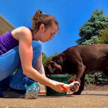 Ubora K9 - Pet Training Near Me - Breedsville, Michigan Ubora K9 - Pet Training Near Me - Breedsville, Michigan