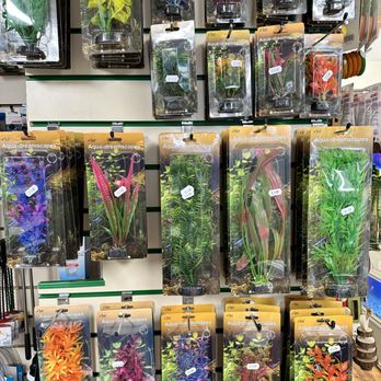 Pet Supermarket - Local Fish Stores Near Me - Belfast, BFS