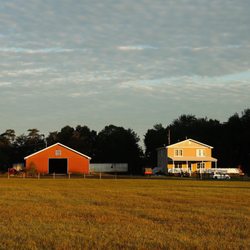 The Farm On Magnolia - Horse Farm + Vacation House sunset