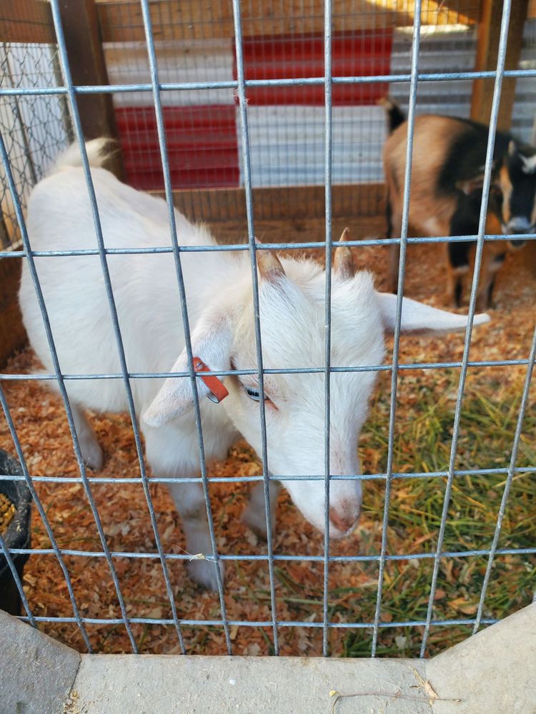 FARMERS FEED Updated September 2024 35 Photos & 46 Reviews 1302 E