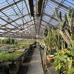 Fantastic Gardens Of Long Island - Inside our cactus greenhouse where you can find one of our owner's own personal collections of unique cacti