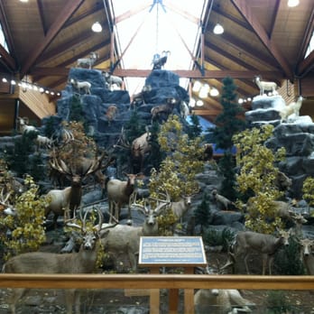 Cabela's - Outdoor Gear Near Me - Hamburg, Pennsylvania Cabela's - Outdoor Gear Near Me - Hamburg, Pennsylvania