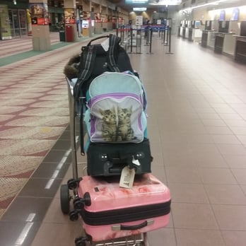 Eugene Airport - Airports Near Me - Eugene, Oregon