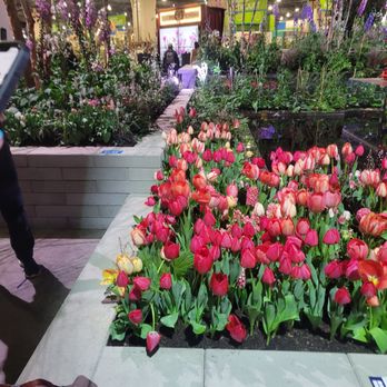 Greenstreet Gardens - Nurseries & Gardening Near Me - Lothian, Maryland