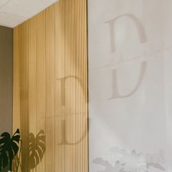 Dora Pmu Studio