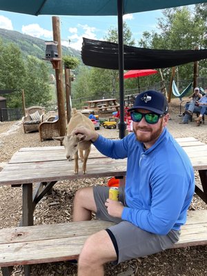 Vail Stables by null