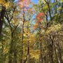 Bird Hills Nature Area