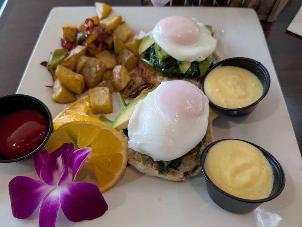 Ocean View Bar and Grill