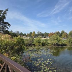 Groveland Oaks County Park
