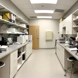 Matanzas River Animal Hospital - In house laboratory