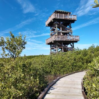 Robinson Preserve - The Tower - Parks Near Me - Bradenton, Florida