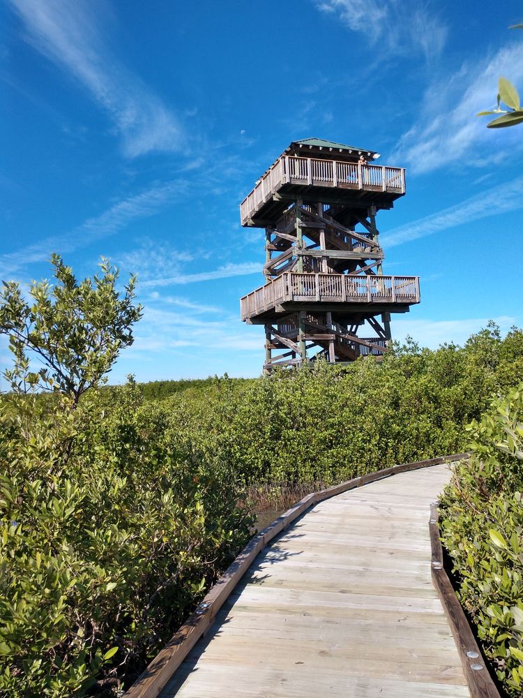 ROBINSON PRESERVE Updated November 2024 292 Photos & 71 Reviews