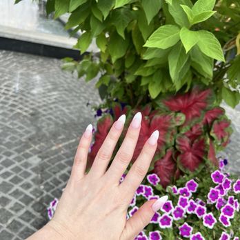 InStyle Nail Bar - French - Nail Salons Near Me - Washington, DC, District of Columbia