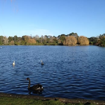 Western Springs Park - Local Flavor Near Me - Auckland, AUK