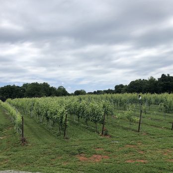 FireClay Cellars - Wineries Near Me - Siler City, North Carolina
