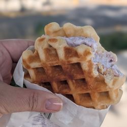 Co-op Downtown - Georgettes Huckleberry Galette Ice Cream Sandwich!