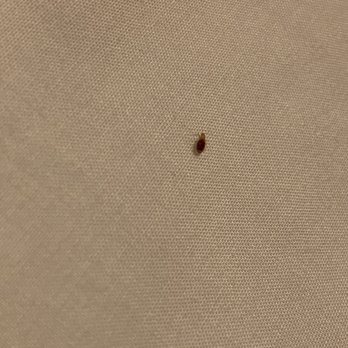 Candlewood Suites Wilson - Bed bugs! - Hotels Near Me - Wilson, North Carolina
