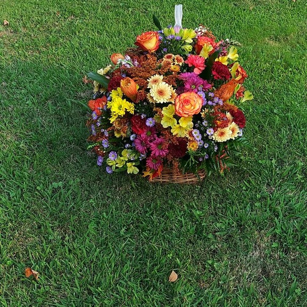 MJ's Place - Florists Near Me - Carbondale, Illinois MJ's Place - Florists Near Me - Carbondale, Illinois