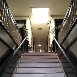 Sacred Synergy Acupuncture & Healing Arts