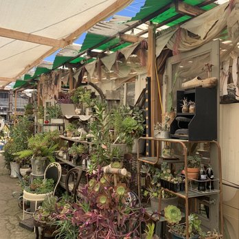 Casas Succulents And Cactus - Nurseries & Gardening Near Me - Visalia, California