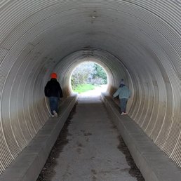Tunnel that takes you underneath the highway to McWay Falls